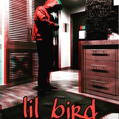 Lil Bird