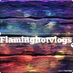 Flaming Hot Vlogs