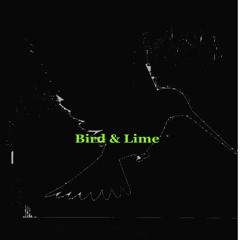 Bird and Lime
