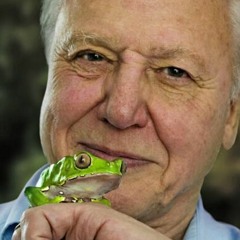 Robust Giraffe Experiment