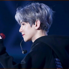 엑소바라기에리