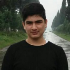 Mehdi Noroozian