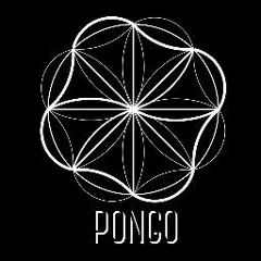 Pongo Musica Malleabile