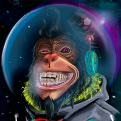 Space Monkey