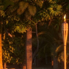 Trip Trop's Secret Cabana