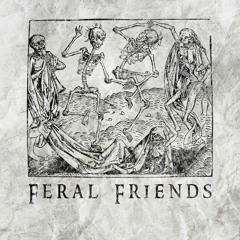Feral Friends