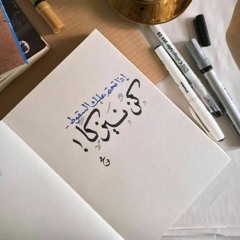 mohamed fawzi