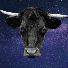 Dj Space Cow