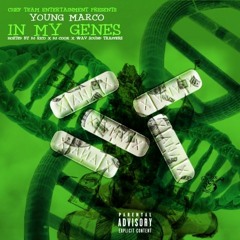 DJ Wav Sound Trappers