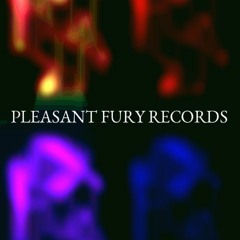 PLEASANT FURY RECORDS