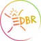 EDBr | Ecstatic Dance Brasil