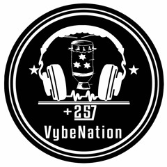 257 VybeNation