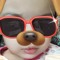 Asma Hassan
