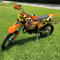 Gage MX