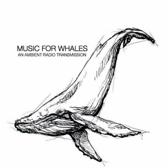 MUSIC FOR WHALES, an ambient radio transmission