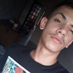 Luiz Fernando