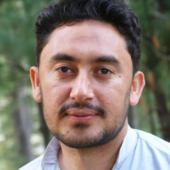 Mujtaba Hussain Shah
