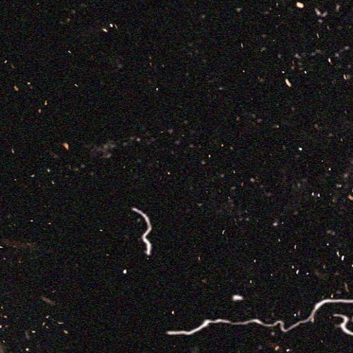 Stream Rizzla music | Listen to songs, albums, playlists for free on ...