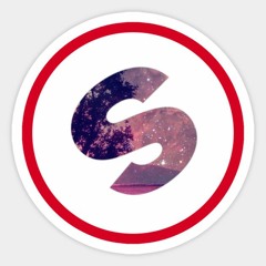 spinnin' records  report
