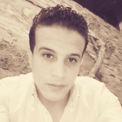 Hesham Kansoh