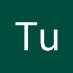 4T1S