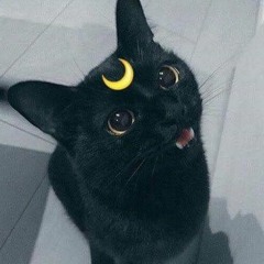 pennmato