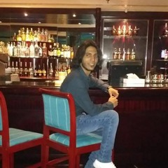 walid zidan