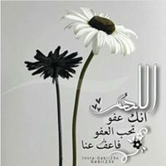 Omnia Mahmoud