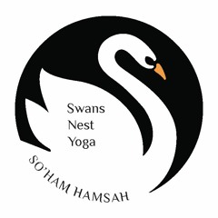Swan Sessions