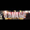 SavageHackgamin