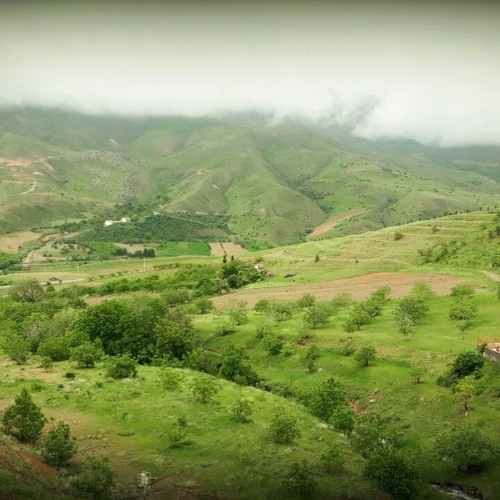 Shahram Shokoohi - Leylio Majn