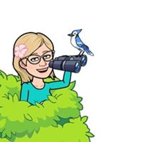 Linda Chateau D Eau S Stream