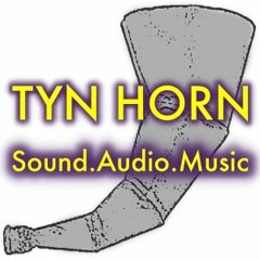 Tyn Horn