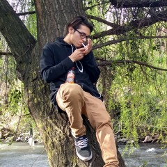 Diego Báez Villalon