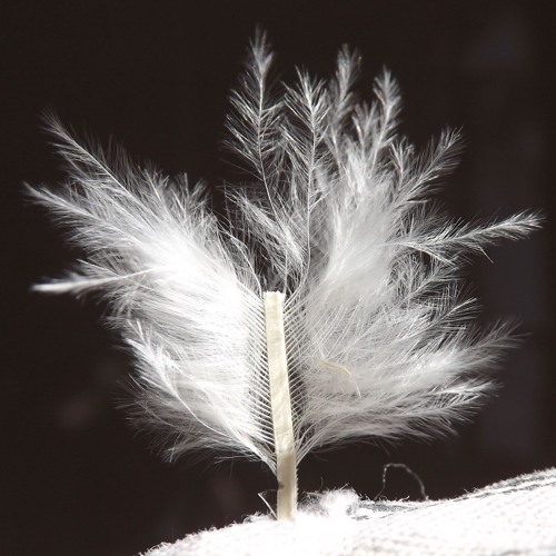 Disquiet 0369 Trio With Untilledsound & Ryan Scott Mattingly