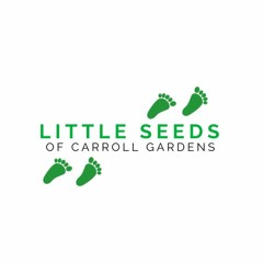 Little Seeds of Carroll Gardens