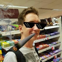 Siddharta Begić Vales