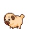 A DOG