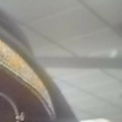 Professor Fuziion Reed