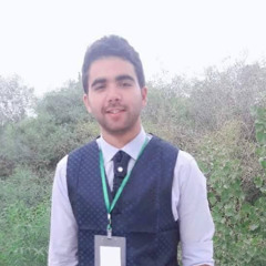 Nabil Zouita
