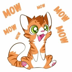 Programmer Kitty
