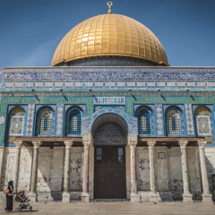 عبدالرحمن زايد