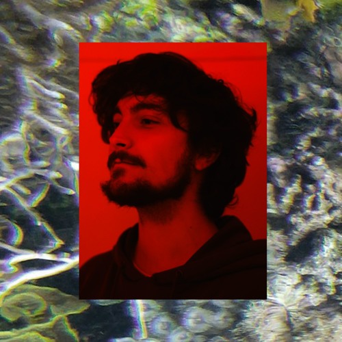 Noé Carillo (Daysiz)’s avatar