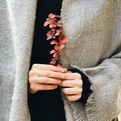 سورة البقرة المنشاوى