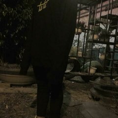 Phí Vũ Hồng Diệp