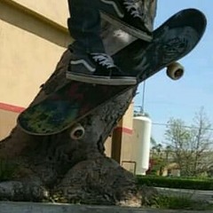 DJK SK8Z