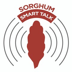 Sorghum Smart Talk
