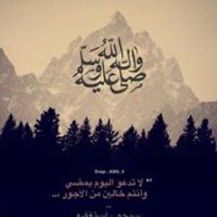 Amr Elsisi