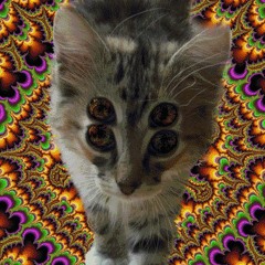 Astro Cattin