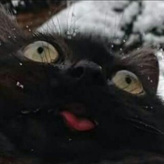 ChillChimpanzee